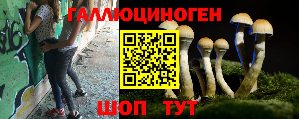 Сургут  Псилоцибиновые грибы Cubensis  наркота  Вход с VPN 